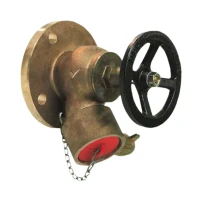 Hoses & Brigade-cards